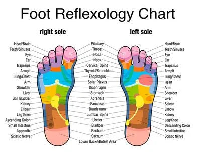 Tourmaline Slimming Health Socks – Self-Heating Thermotherapy Socks for Men & Women | Circulation, Detox & Weight Support - Foshkan.com