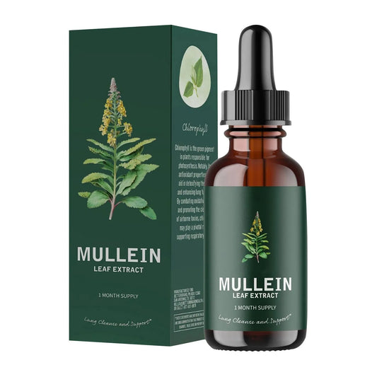 Mullein Leaf Extract Health And Fitness Supplement Clean Lung Drops health drops for smokers 10ml - Foshkan.com