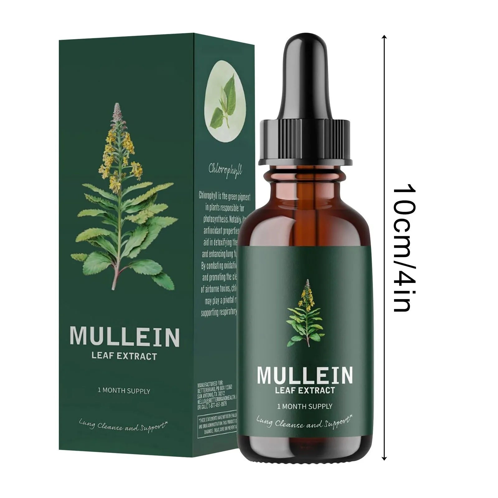 Mullein Leaf Extract Health and Fitness Supplement – Clean Lung Drops for Smokers (10ml) - Foshkan.com