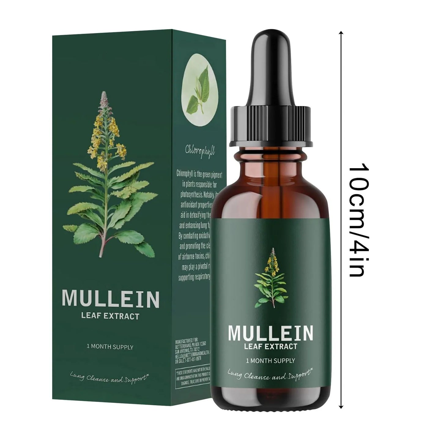 Mullein Leaf Extract Health And Fitness Supplement Clean Lung Drops health drops for smokers 10ml - Foshkan.com