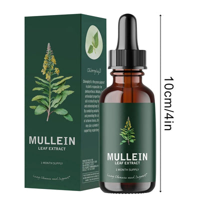 Mullein Leaf Extract Health And Fitness Supplement Clean Lung Drops health drops for smokers 10ml - Foshkan.com